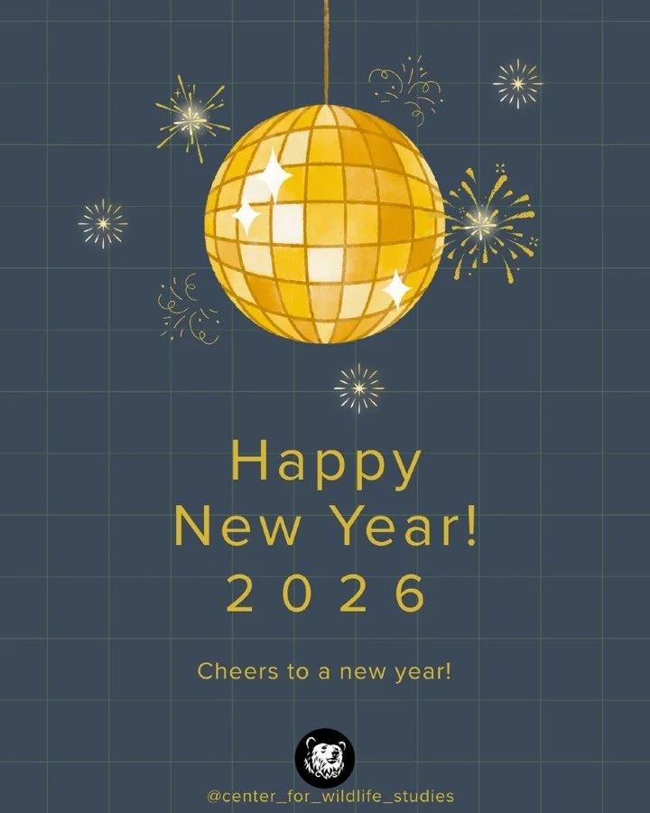 Happy New Year from the team at CWS! 🎉✨

What are your goals or resolutions for this year? Do you have plans to take a course with us? 

Or if you're in the mood to reflect, what did you learn in 2025? 

We'd love to hear! Please share your thoughts