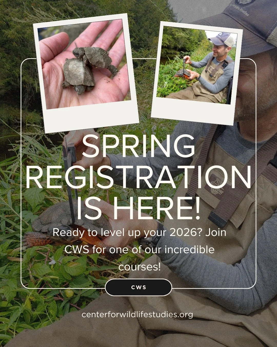 Spring Registration is Here! 
What better way to set up 2026 for a year of success, knowledge, and conservation! 

Some of our available courses for Spring 2026 (March-May) include:

🦦 Facilitation 101 for Conservation Professionals
☀️ Multimedia Co
