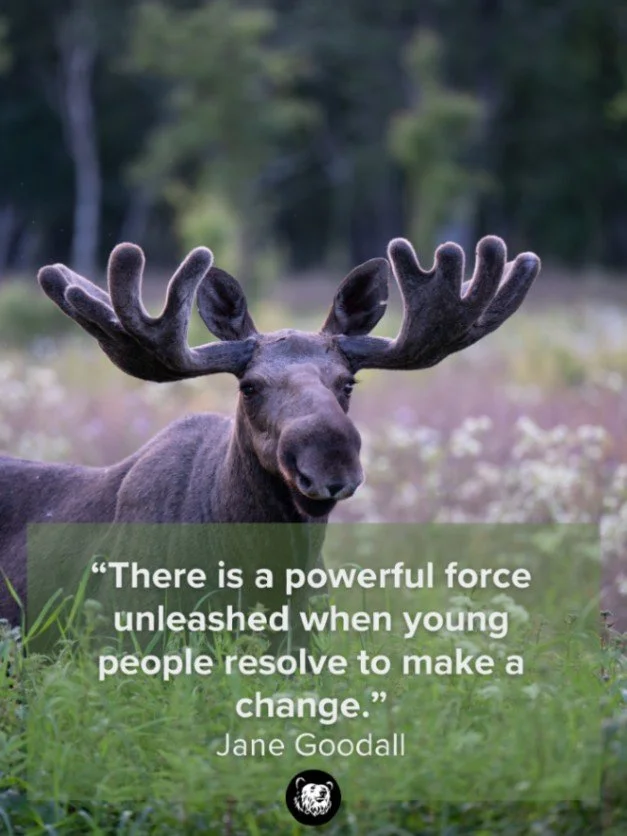 &ldquo;There is a powerful force unleashed when young people resolve to make a change.&rdquo; - Jane Goodall

🌿 Do you have a favorite Jane Goodall quote or another quote about conservation? We'd love to hear it! Drop it in the comments below! 👇