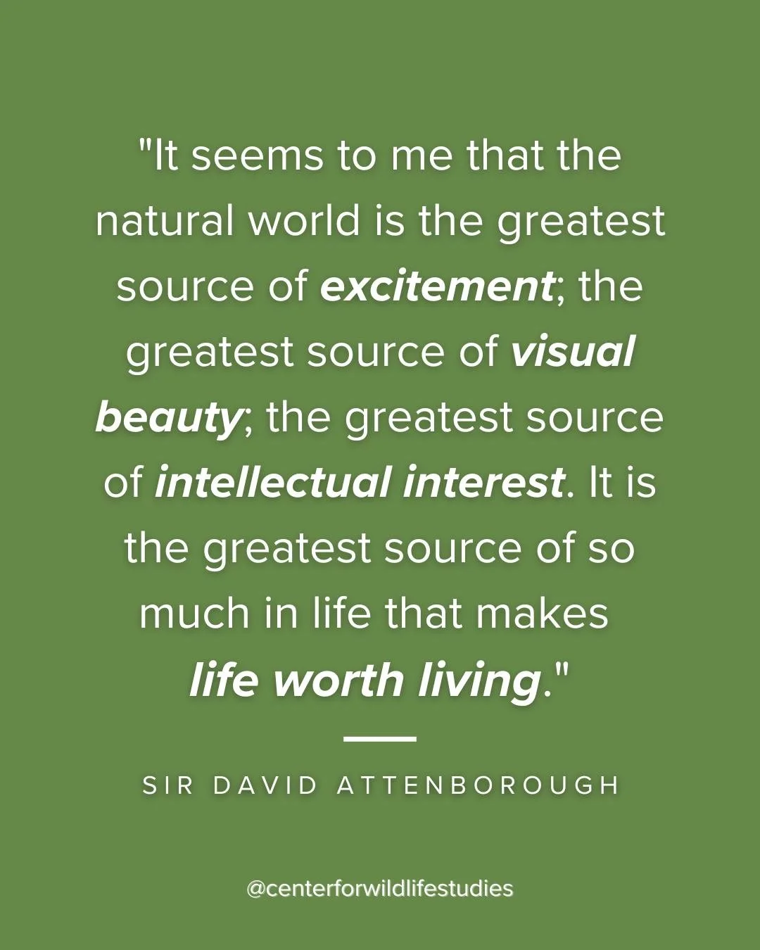 🌿 Sir David Attenborough is, by far, one of my favorite nature commentators. 

What do you think?

What nature documentaries are your favorite? Let's make a list we can use as a resource! 👇