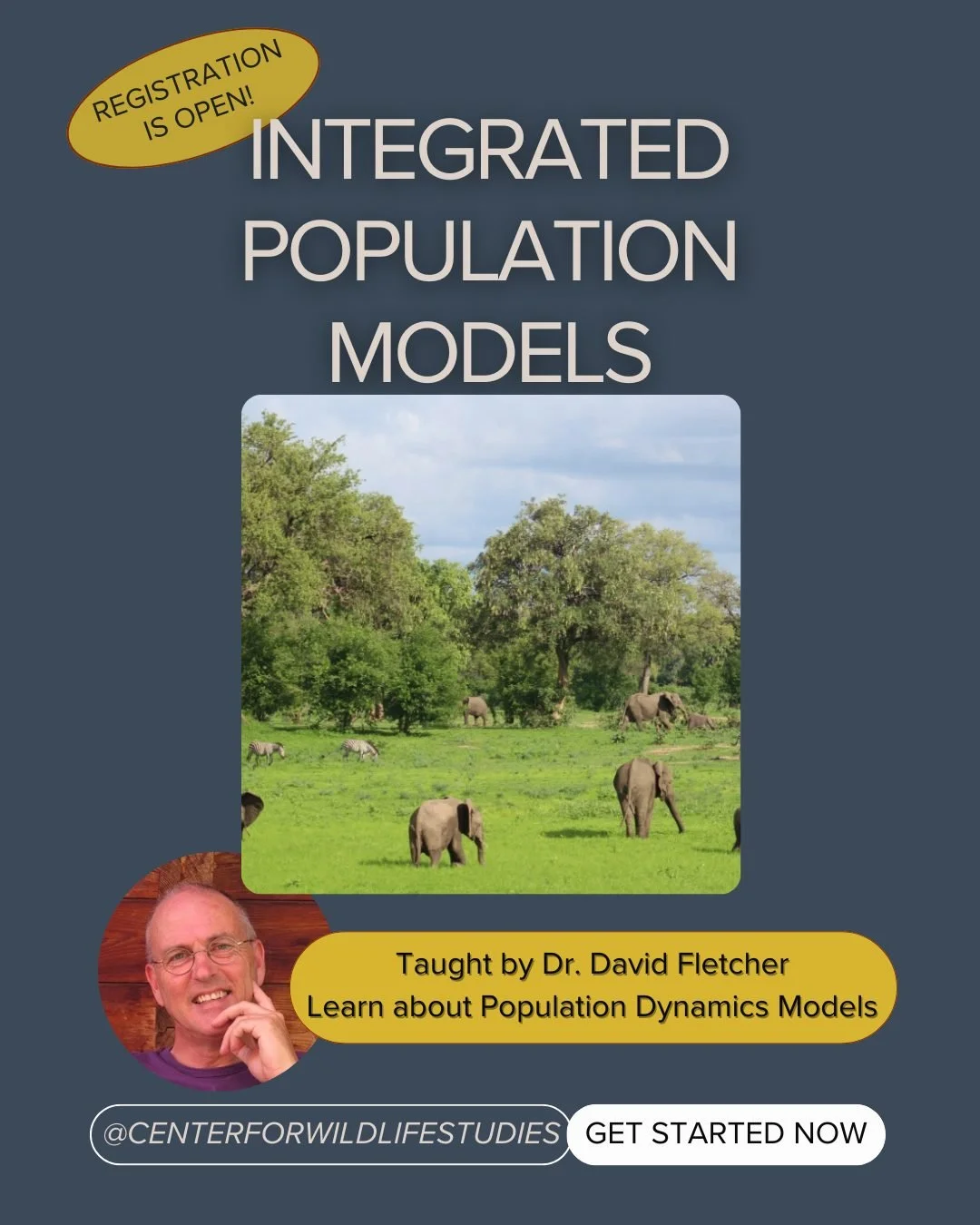 🌱 Jump into Data this Spring! 📊

Join Dr. David Fletcher in March for a journey into Integrated Population Models. 🌍

🔍 What's in store?
- Learn Bayesian method magic with JAGS software in R
- Build &amp; fit population and observation models
- R