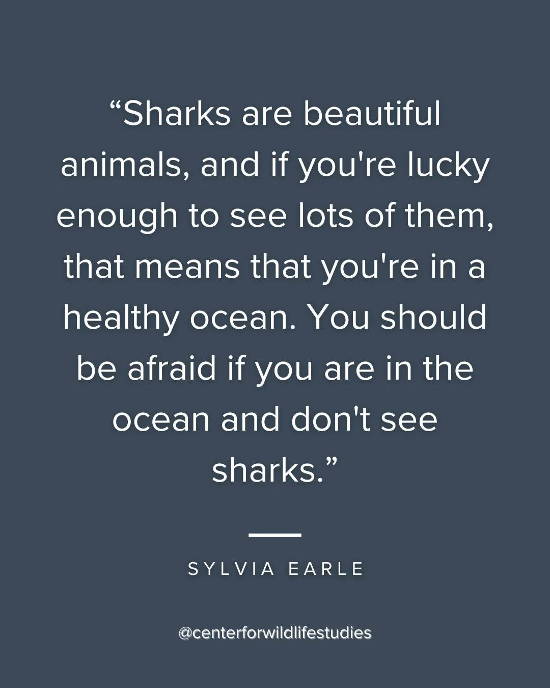 🌊🐋 Did you know that seeing sharks in the ocean is actually a great sign? 🦈✨ It means you're seeing a healthier ecosystem! 🌿💙

Dive into the mystery of these majestic creatures and discover the beauty of balance in our oceans. CWS is offering an