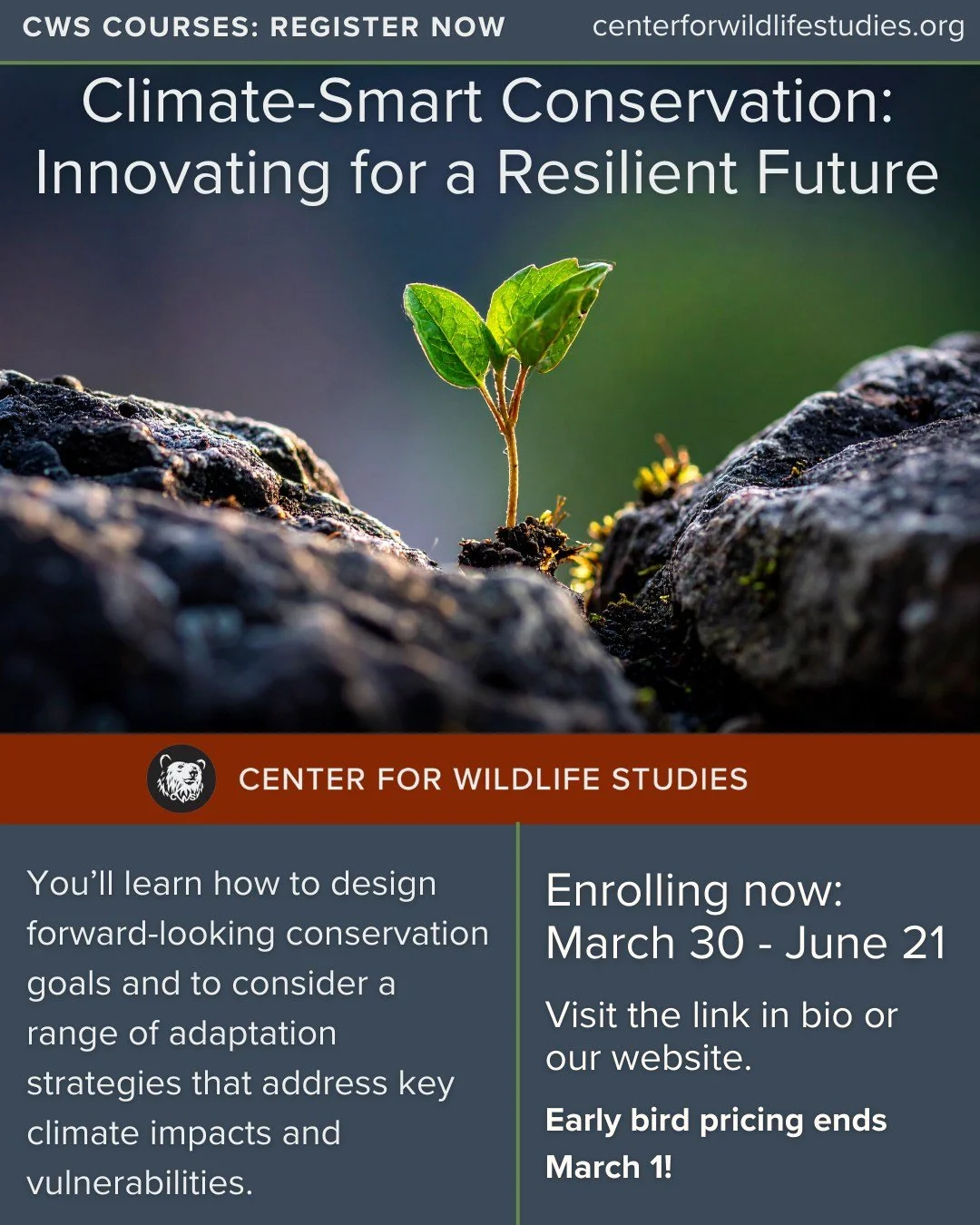 🌿 CWS Course: Climate-Smart Conservation: Innovating for a Resilient Future! 🌍

Join us in mastering Climate-Smart Conservation! Learn to set forward-thinking goals using Conservation Standards, tackle climate impacts, and design adaptive strategie