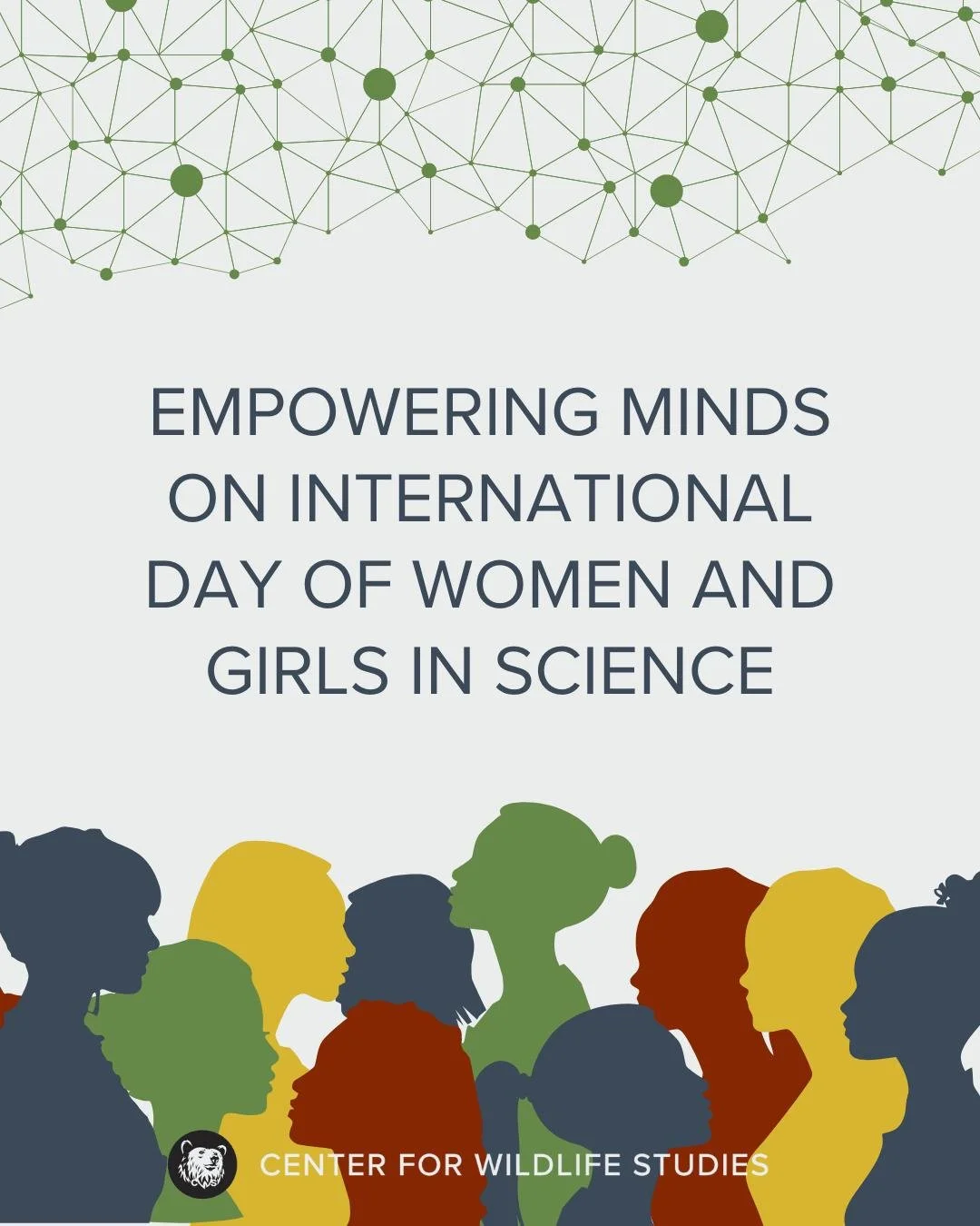 🚀 Today we Celebrate Women &amp; Girls in Science! 🌟

Join us as we shine a light on the unstoppable women and girls in STEM who are changing the world with their brilliance and perseverance. CWS supports women and learners from all backgrounds, an