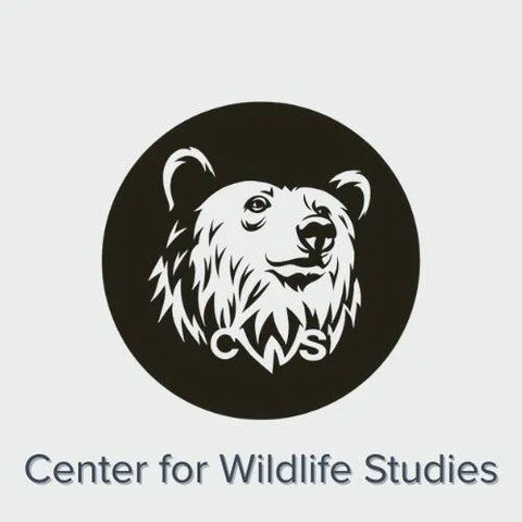 🌿 Did your list of 2026 goals include new frameworks to apply to your wildlife career? The Center for Wildlife Studies offers many innovative courses taught by leading wildlife experts, and we want you to learn with us!

Whether you're gearing up fo