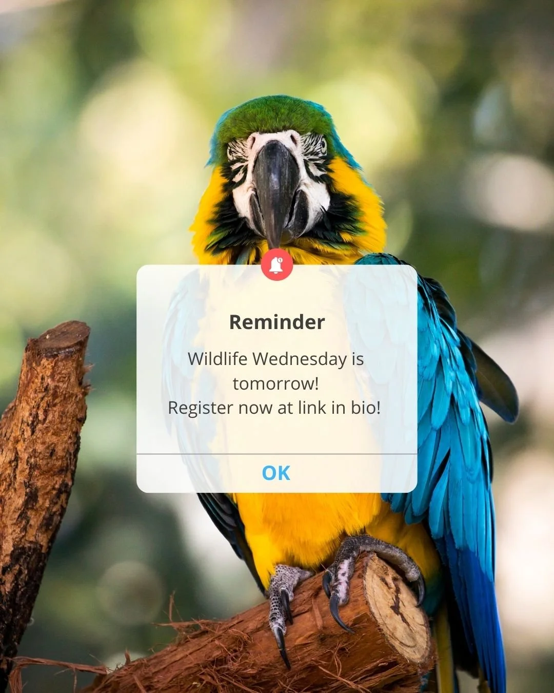 Don't forget! Tomorrow is Wildlife Wednesday! Register now to join us!

Join Dulce Espelosin for Influencing Behavior Without Losing Focus

Lasting conservation success depends on people. This two-part free virtual series introduces the importance of