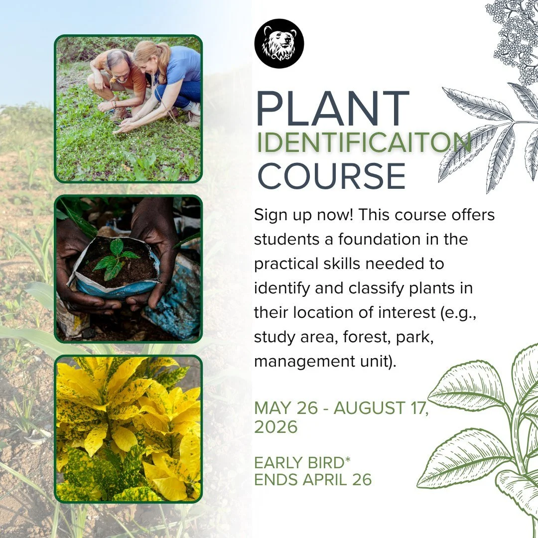 🌿 Unlock the Secrets of the Wild! 🌿

Ever wondered how plants shape ecosystems and support wildlife? Dive into our Plant Identification Course designed for wildlife biologists! 🌱

🔍 What You'll Learn:
- Identify &amp; classify plants in your stud