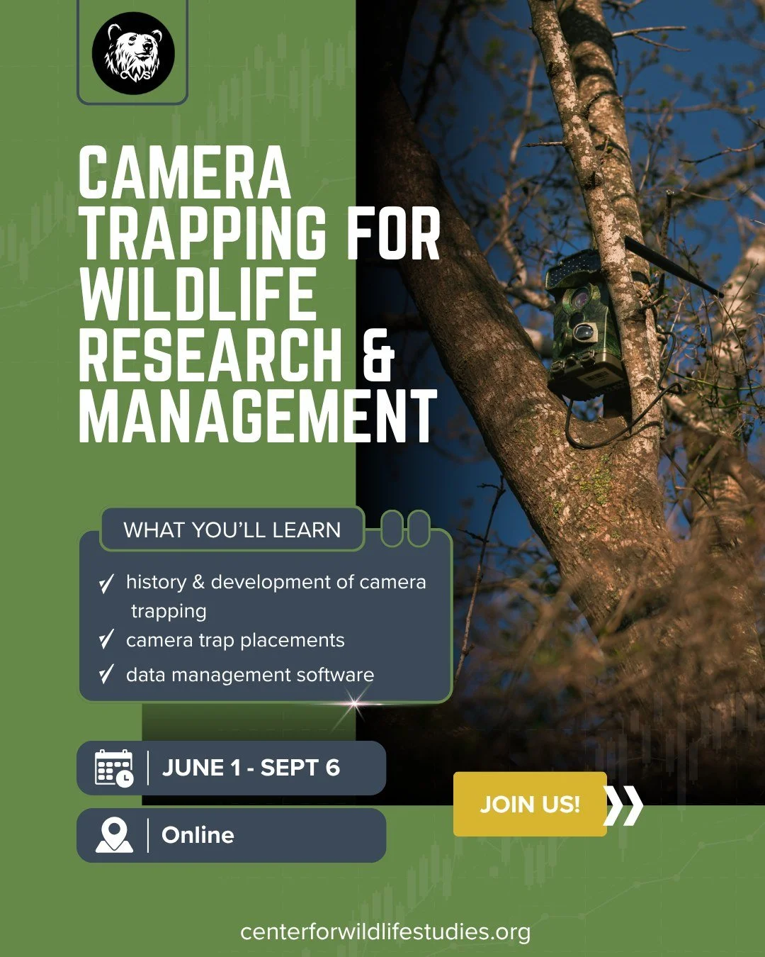 Capture the wild like never before! 📸🐾 Join our Summer Course on Camera Trapping in Wildlife Studies. Learn from camera selection to data analysis, and explore diverse habitats. Scholarships available! 🦉🌿

Enroll: centerforwildlifestudies.org/cou