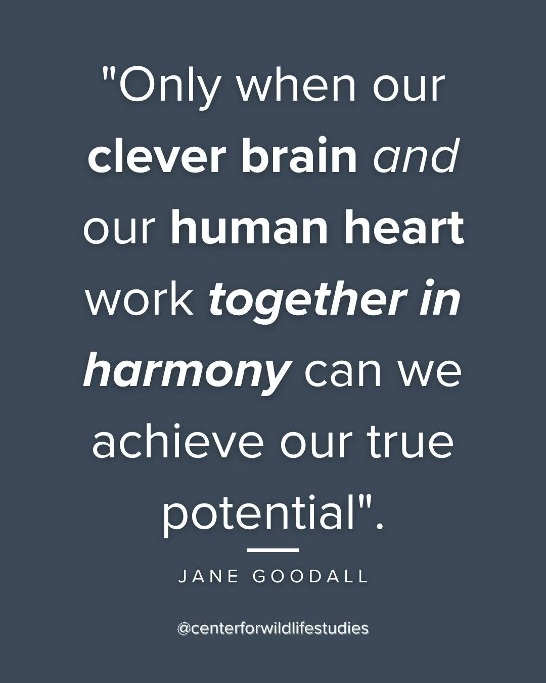 Happy #GoodAllDay!

We're grateful to have been alive at the same time as Jane Goodall and appreciate all the hard work she's done to pave the way for the rest of us. 

"Only when our clever brain and our human heart work together in harmony can