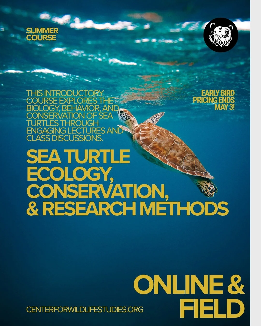 🐢 Big plans this summer? Have you ever thought about diving into the world of sea turtles?

Join our Sea Turtle Course and explore their fascinating biology and crucial ecological roles while earning a shareable digital badge! Learners may earn acad
