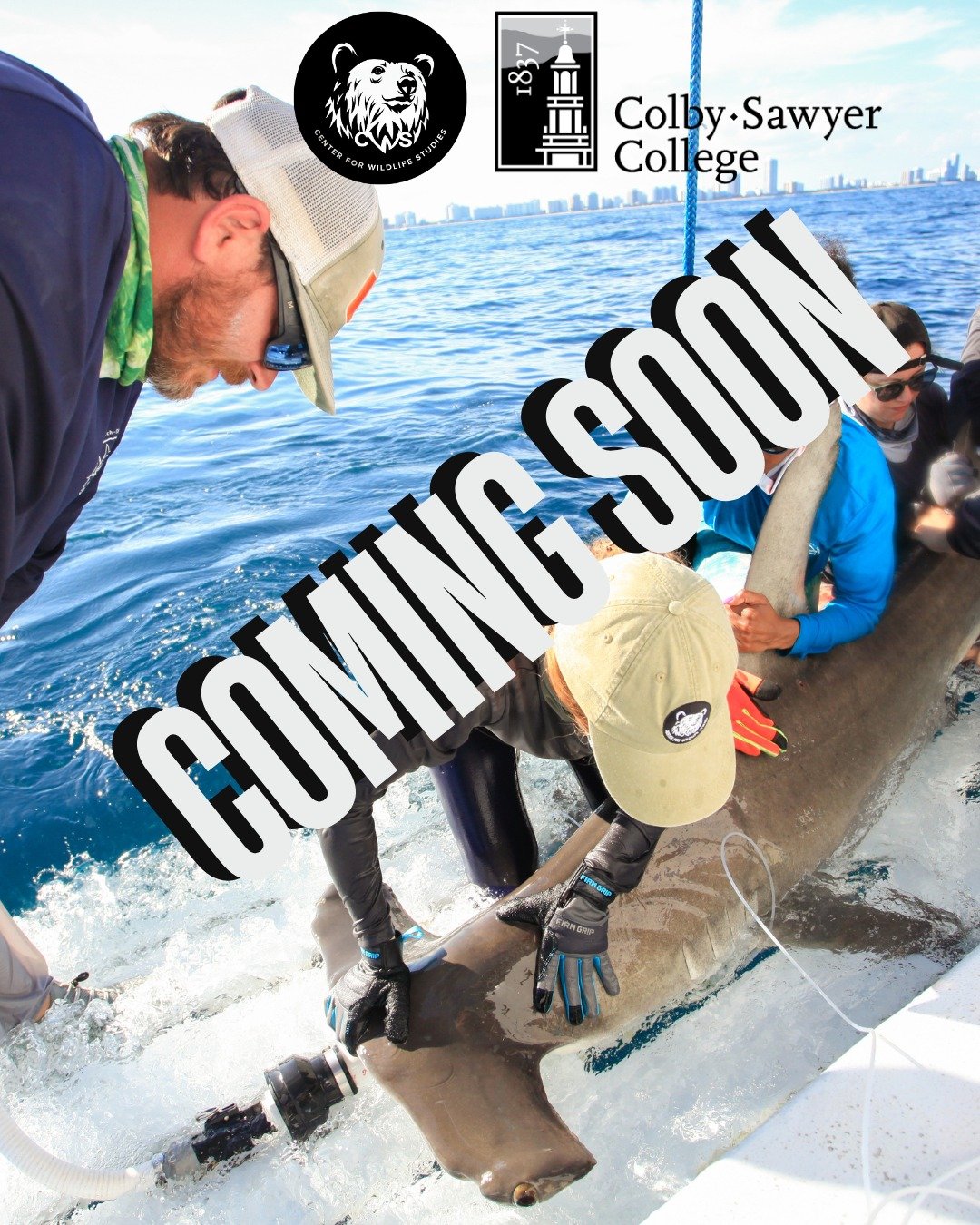 Big news for wildlife students, future conservationists, and hands-on learners 🌿🦉

The Center for Wildlife Studies is partnering with Colby-Sawyer College @colbysawyercollege to offer a powerful blend of online learning and in-the-field wildlife tr