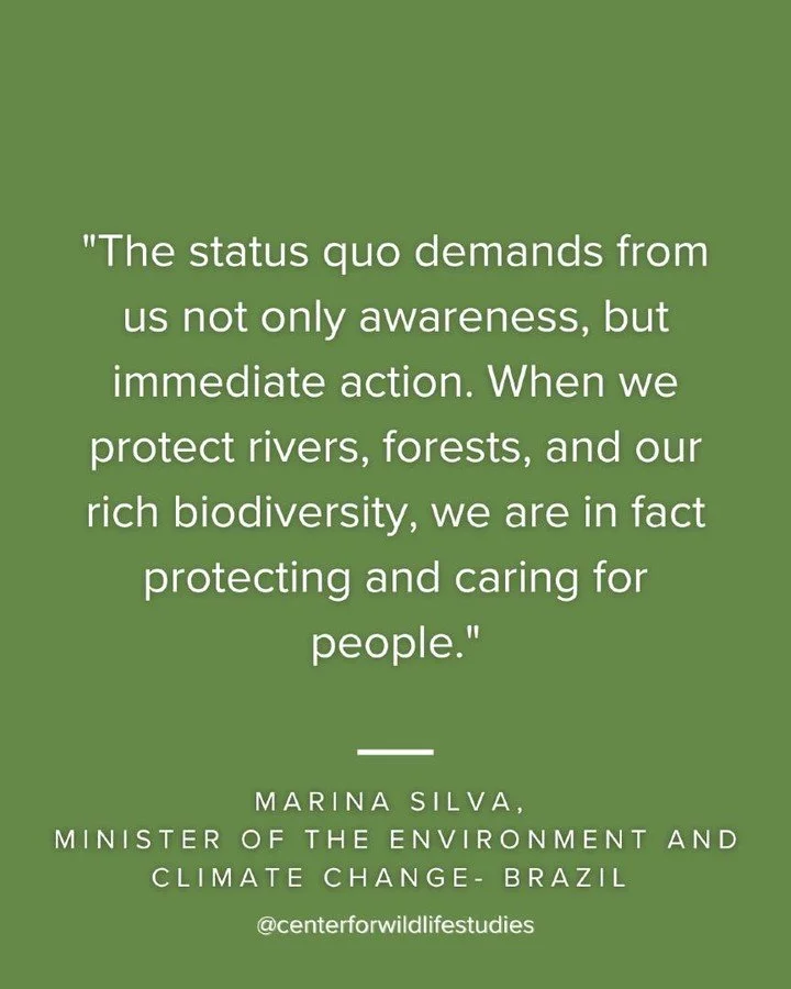 Marina Silva: Brazilian Minister of the Environment, fighting deforestation.