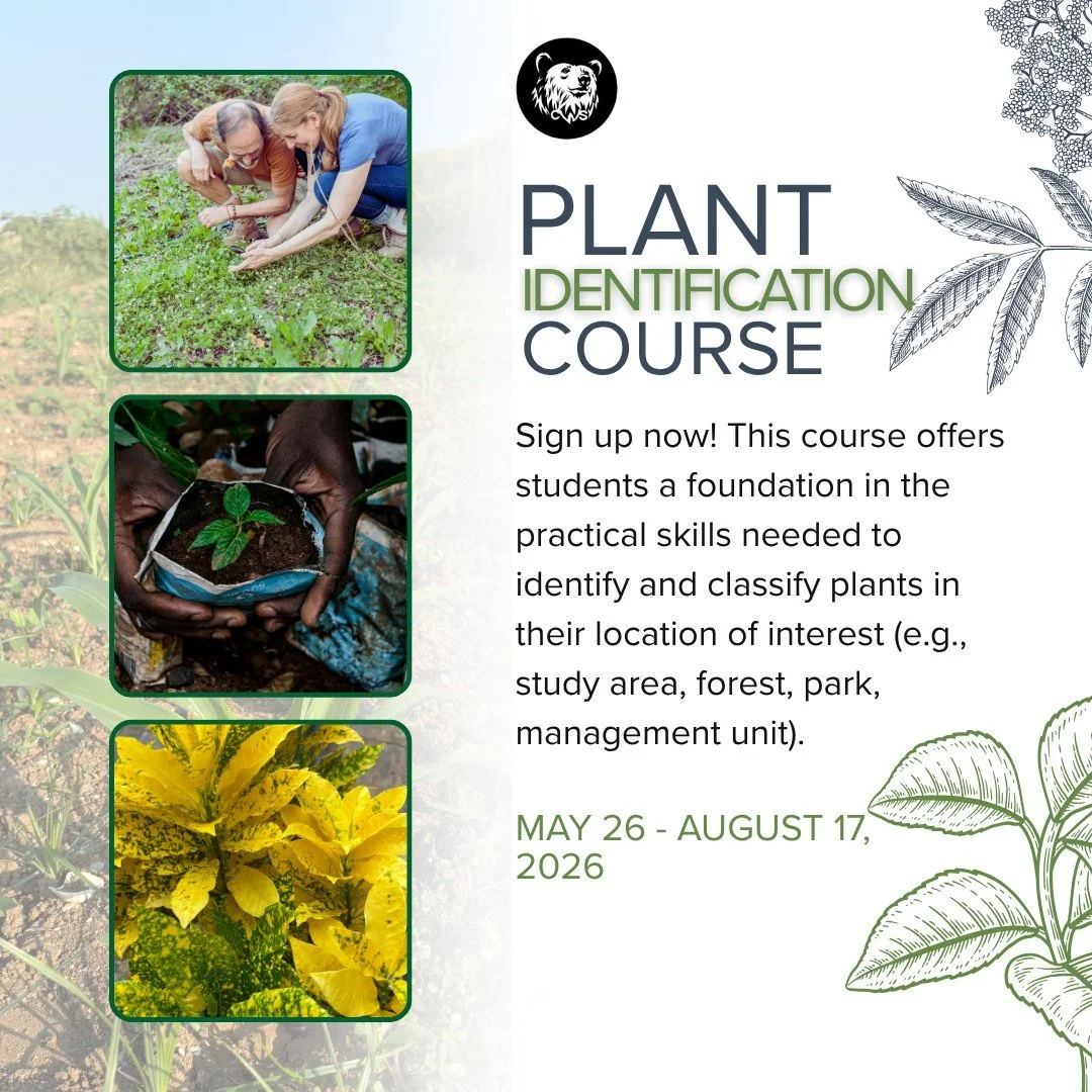 🌿 Unlock the Secrets of the Wild! 🌿

Ever wondered how plants shape ecosystems and support wildlife? Dive into our Plant Identification Course designed for wildlife biologists! 🌱

🔍 What You'll Learn:
- Identify &amp; classify plants in your stud