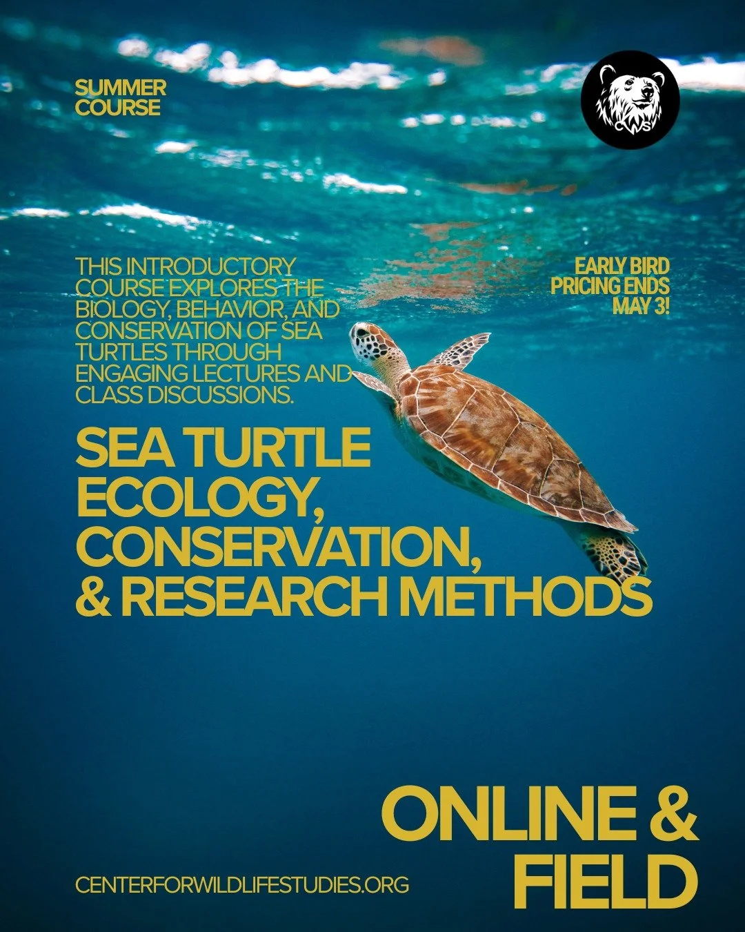 🐢 Big plans this summer? Have you ever thought about diving into the world of sea turtles?

Join our Sea Turtle Course and explore their fascinating biology and crucial ecological roles while earning a shareable digital badge! Learners may earn acad