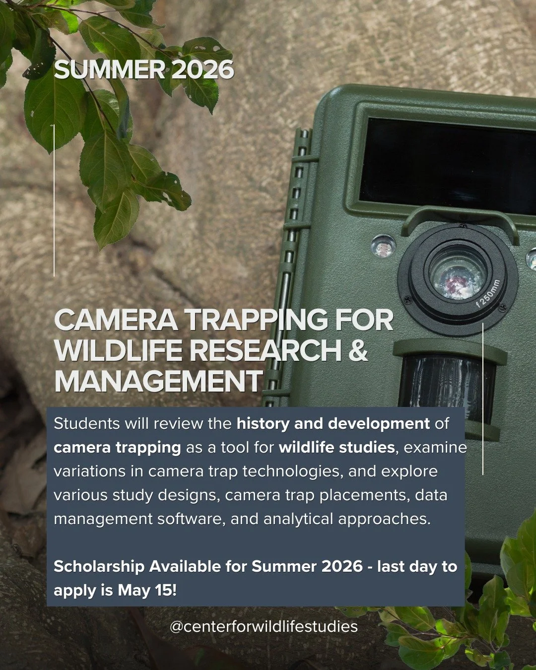 What is Camera Trapping for Wildlife Research all about?

Camera trapping is a wildlife research method that uses motion-activated cameras to remotely capture images and videos of animals in their natural habitats &mdash; without disturbing them.
Tod