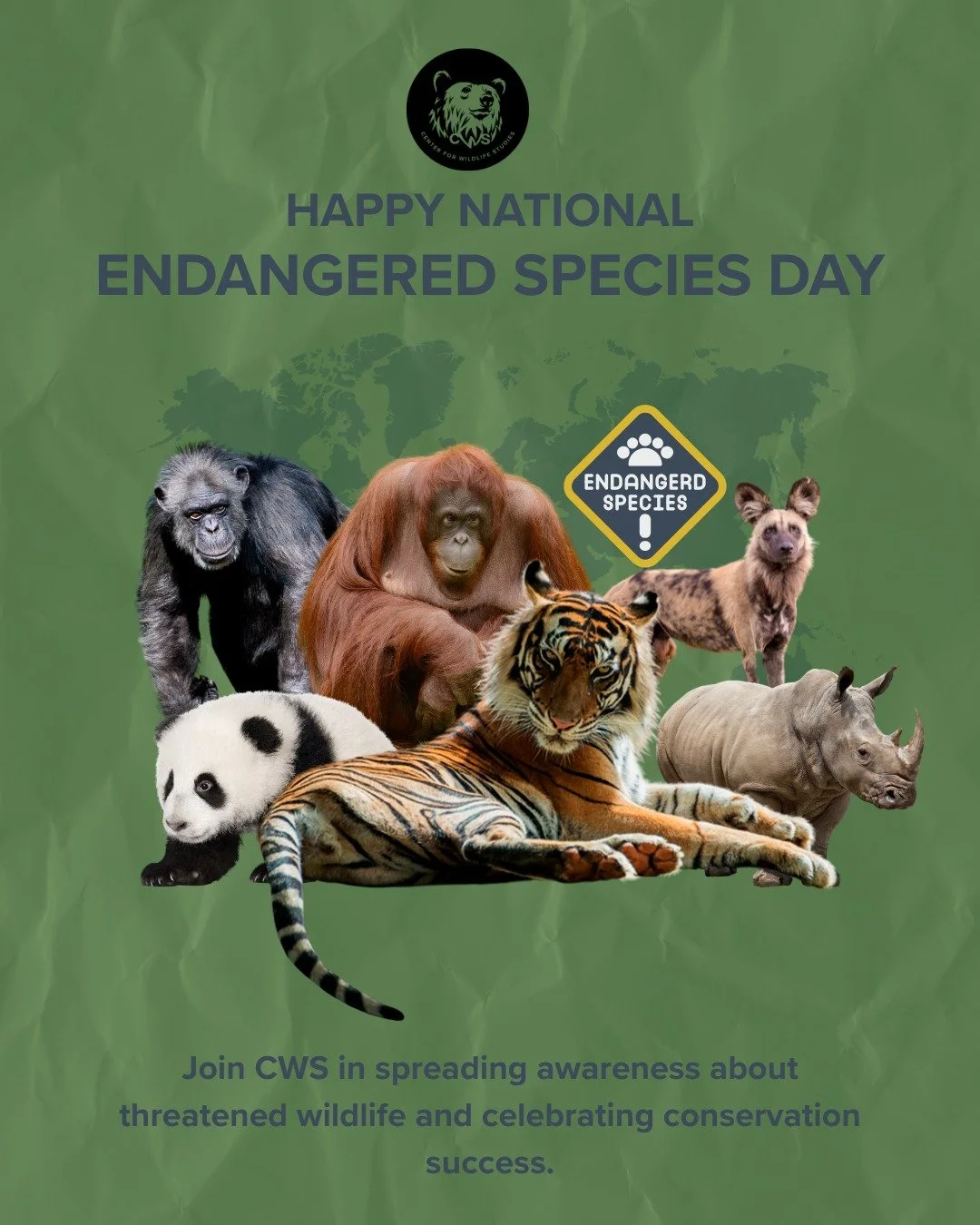 🌿 Endangered Species Day is more than a date&mdash;it&rsquo;s a call to action! 🐾 Let&rsquo;s honor our planet&rsquo;s incredible biodiversity and the courageous efforts to protect it. From sea turtles to rhinos, every species plays a vital role in