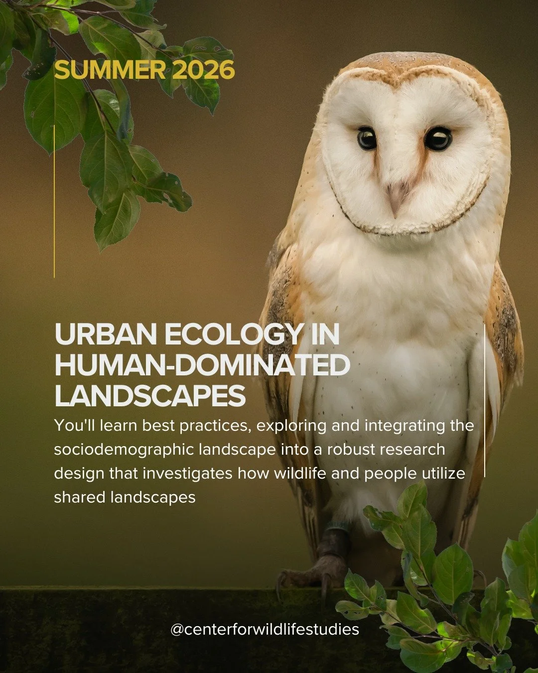 🌍 This Summer: Wildlife Research in Human-Dominated Landscapes

In this highly anticipated course, we'll develop an understanding of human&ndash;wildlife interactions, which are important in modern conservation science.

This course explores how to 