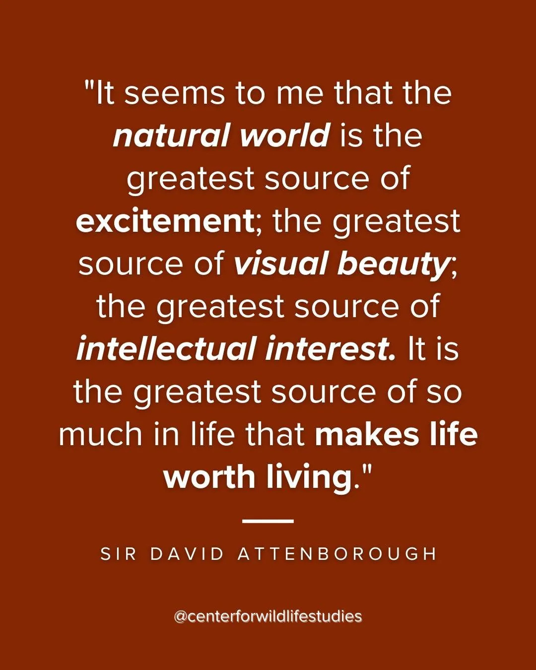 We love many of Sir David Attenborough's quotes, but this one is especially great and we couldn't agree more. Happy Birthday Sir!

"It seems to me that the natural world is the greatest source of excitement; the greatest source of visual beauty;