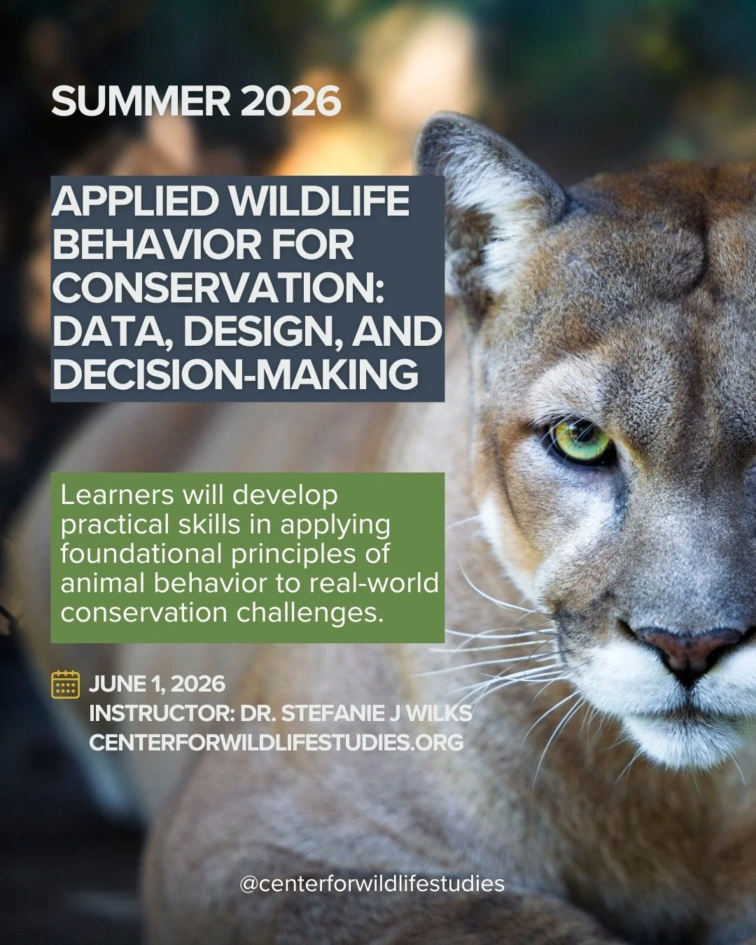 This summer, learn how animal behavior research informs real-world conservation strategy. 🌿
Join Dr. Stefanie Wilks in her Applied Wildlife Behavior for Conservation: Data, Design, and Decision-Making course 🐾✨

🔍 Learn to:
- Analyze data for cons