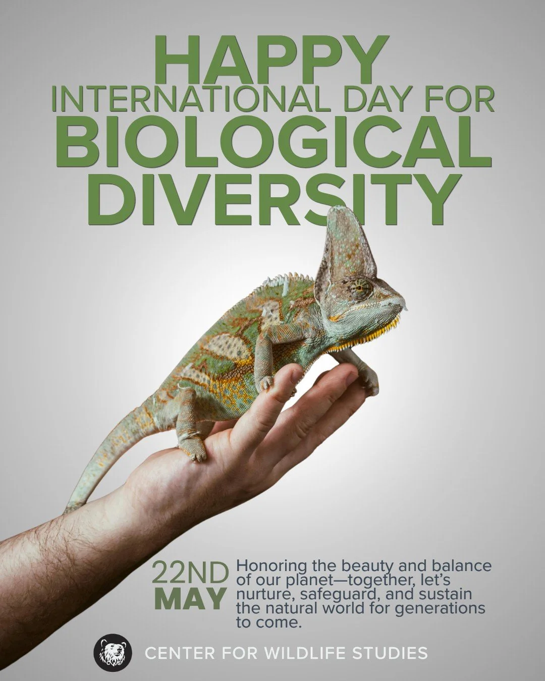 The International Day for Biological Diversity is observed annually on May 22 to raise awareness of biodiversity issues. Coordinated by the UN Convention on Biological Diversity, it promotes global action to halt nature loss, with a special focus on 