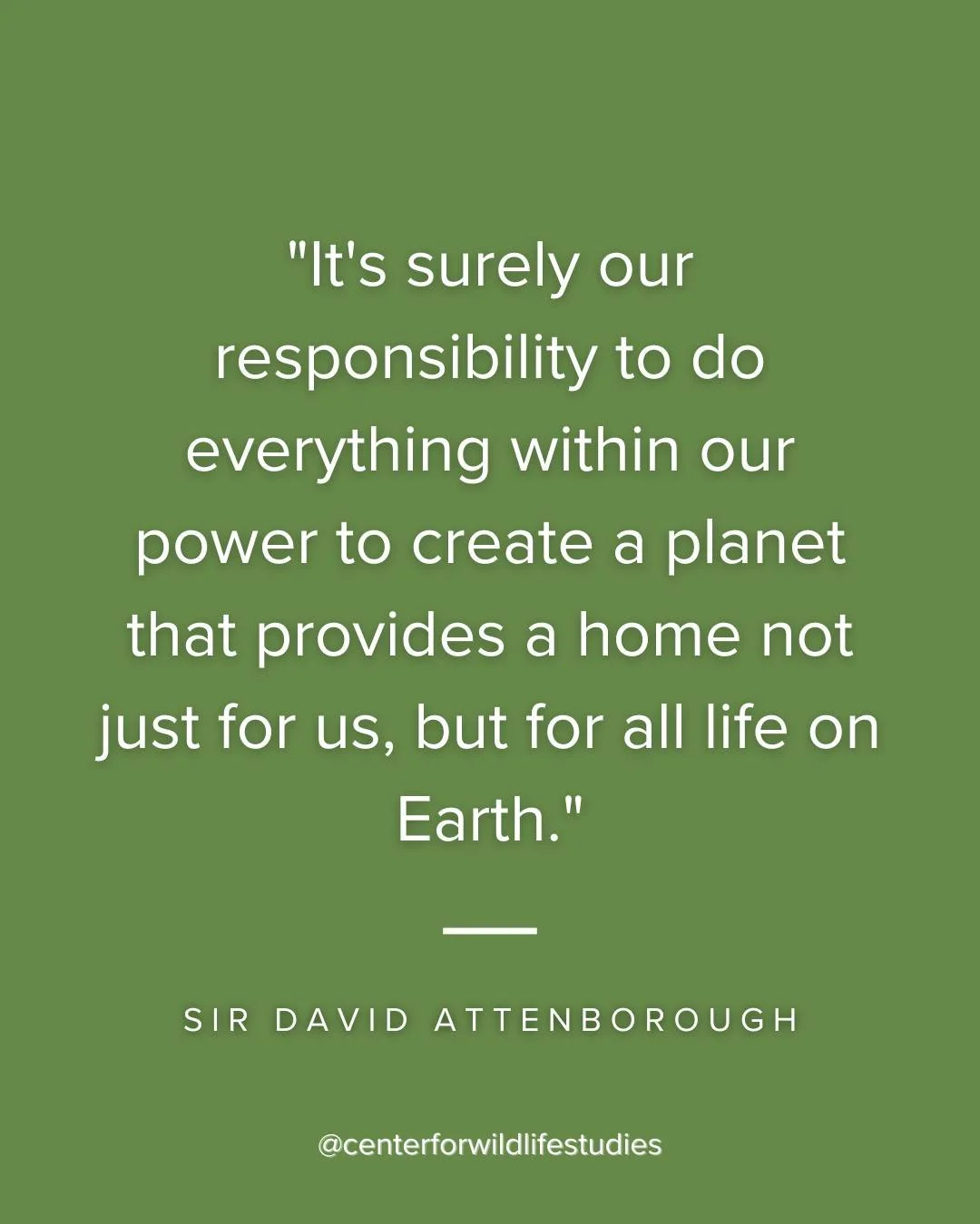 🌍✨
&ldquo;It's surely our responsibility to do everything within our power to create a planet that provides a home not just for us, but for all life on Earth.&rdquo; &mdash; David Attenborough

Every species plays a role in maintaining the balance o