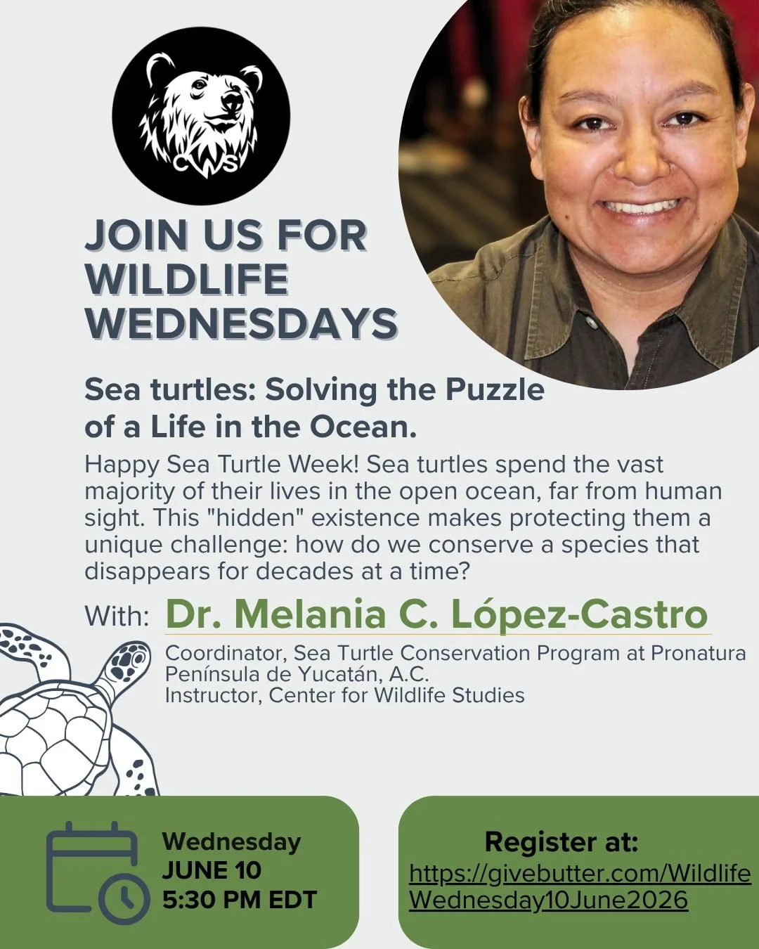 🐢 It's Sea Turtle Week, and we're diving into the world of sea turtles with Dr. Melania L&oacute;pez-Castro this Wednesday! 🌊

Discover the secrets of these ocean wanderers as Dr. L&oacute;pez-Castro reveals their hidden journeys, from Yucat&aacute