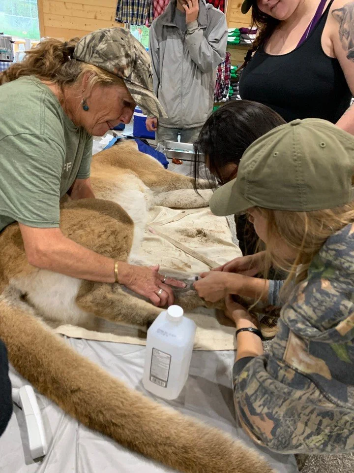 🌿 Check out this Fall course! Wildlife Capture and Chemical Immobilization (Online &amp; Field)! 🌿

Unlock the secrets of capturing and immobilizing wild animals with our comprehensive courses:

- Online Course: Gain theoretical knowledge about wil