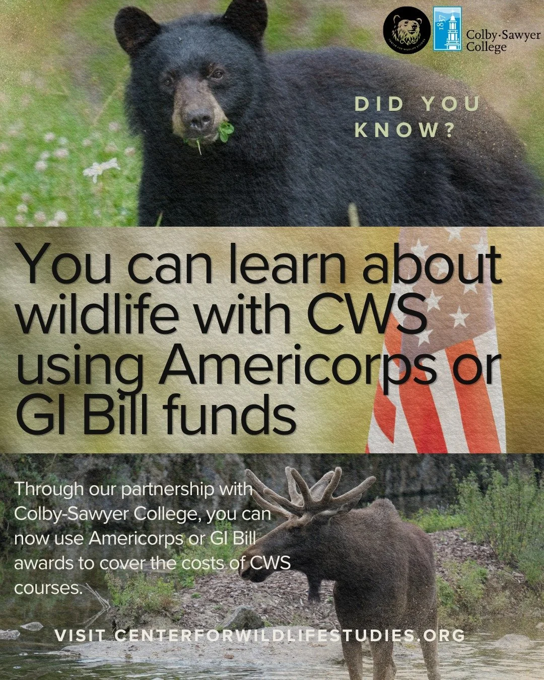 🌿 Expand your impact in conservation&mdash;on your terms.

Through the Center for Wildlife Studies&rsquo; partnership with Colby-Sawyer College, you can get academic credit for expert-led courses, build real-world skills, and advance your career in 