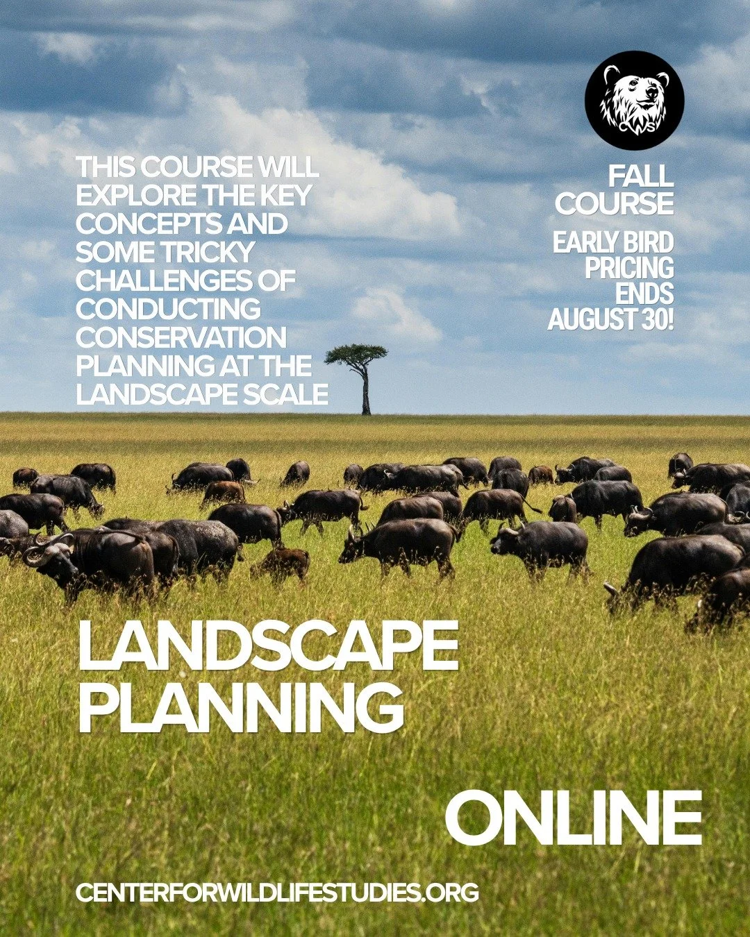 🌎 Plan for a more resilient future with Landscape Planning. 🌿

Conservation challenges are complex &mdash; from habitat loss and climate change to competing human needs. Effective conservation requires professionals who can think beyond individual 