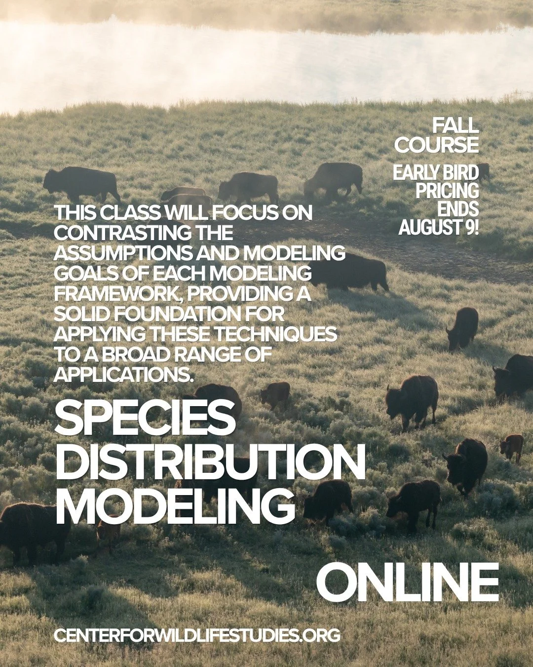 🌎🐾 Where do species live&mdash;and why?

Understanding how wildlife responds to changing environments is essential for effective conservation. In our Species Distribution Modeling course, learn how to use data, ecological principles, and modeling t