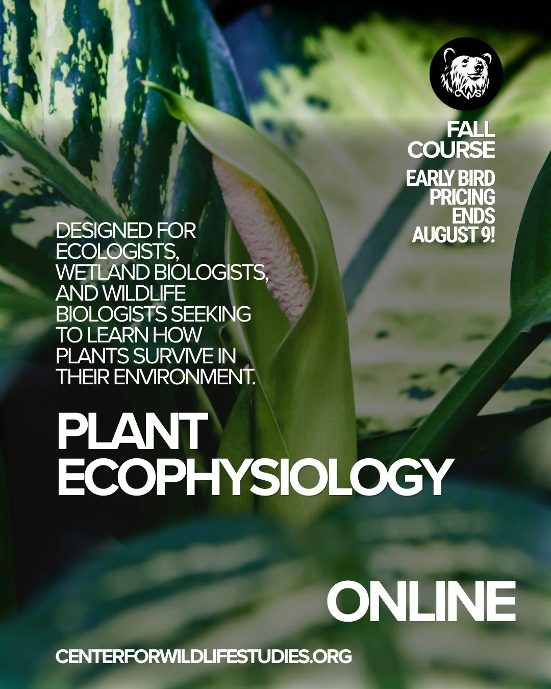 Dr. Van Hoewyk is a plant ecologist whose work explores how plants interact with their environment and respond to changing conditions. You may have met him during our last Wildlife Wednesday (if not, check it out on our youtube, it's uploaded there!)