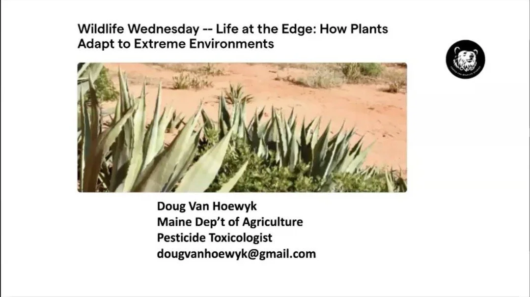 In case you missed our last Wildlife Wednesday, it is now up on our YouTube for your viewing pleasure!

And it's not to be missed.

This presentation was offered by Dr. Doug Van Hoewyk on how plants adapt to extreme environments. You can check it out