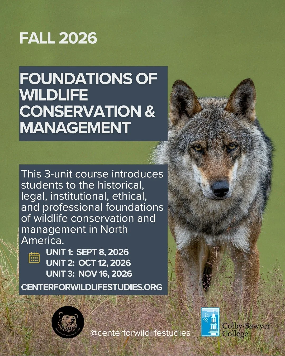 Build your foundation for a career in conservation 🌎🐾

Our *Foundations of Wildlife Conservation &amp; Management* course gives you the essential knowledge and skills to understand, protect, and manage wildlife populations in a changing world.

Off