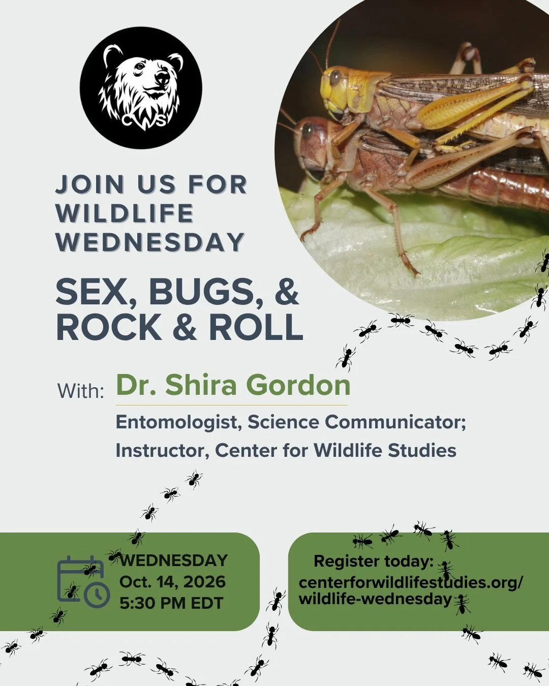🐛🎸 **Wildlife Wednesday is getting a little&hellip; buggy (in the best way).**

Join us for &ldquo;Sex, Bugs, and Rock n&rsquo; Roll" with Dr. Shira Gordon, where we&rsquo;ll dive into the fascinating world of insect communication&mdash;think 