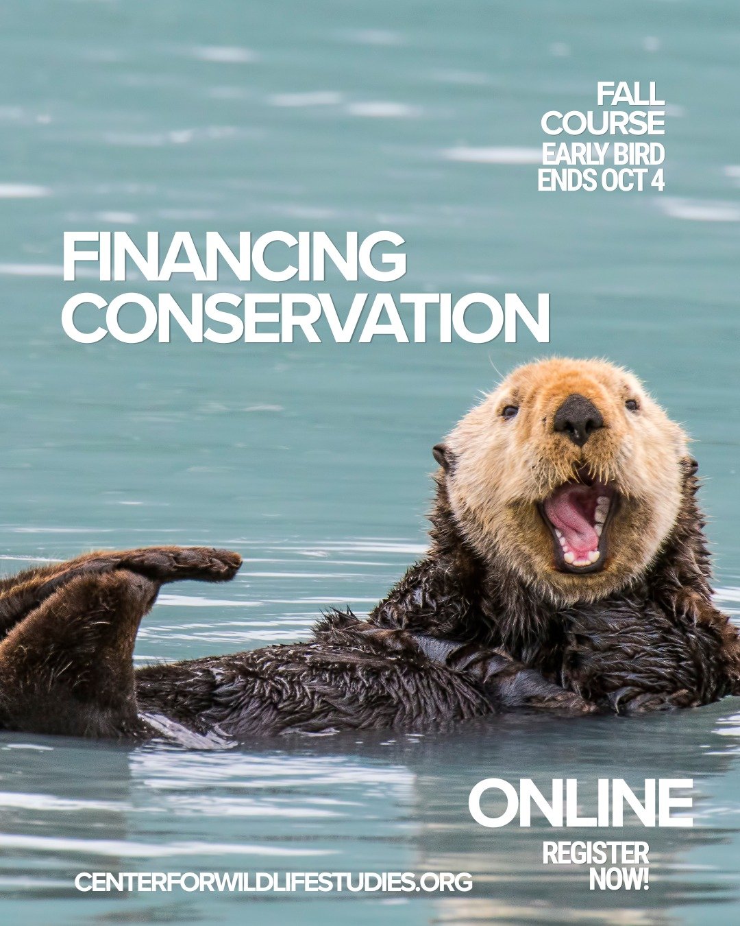 🌍💰 Want to make conservation actually *funded*&mdash;not just discussed?

Join our **Conservation Finance** course and explore how innovative funding strategies can support biodiversity, climate solutions, and sustainable futures. From ecosystem se