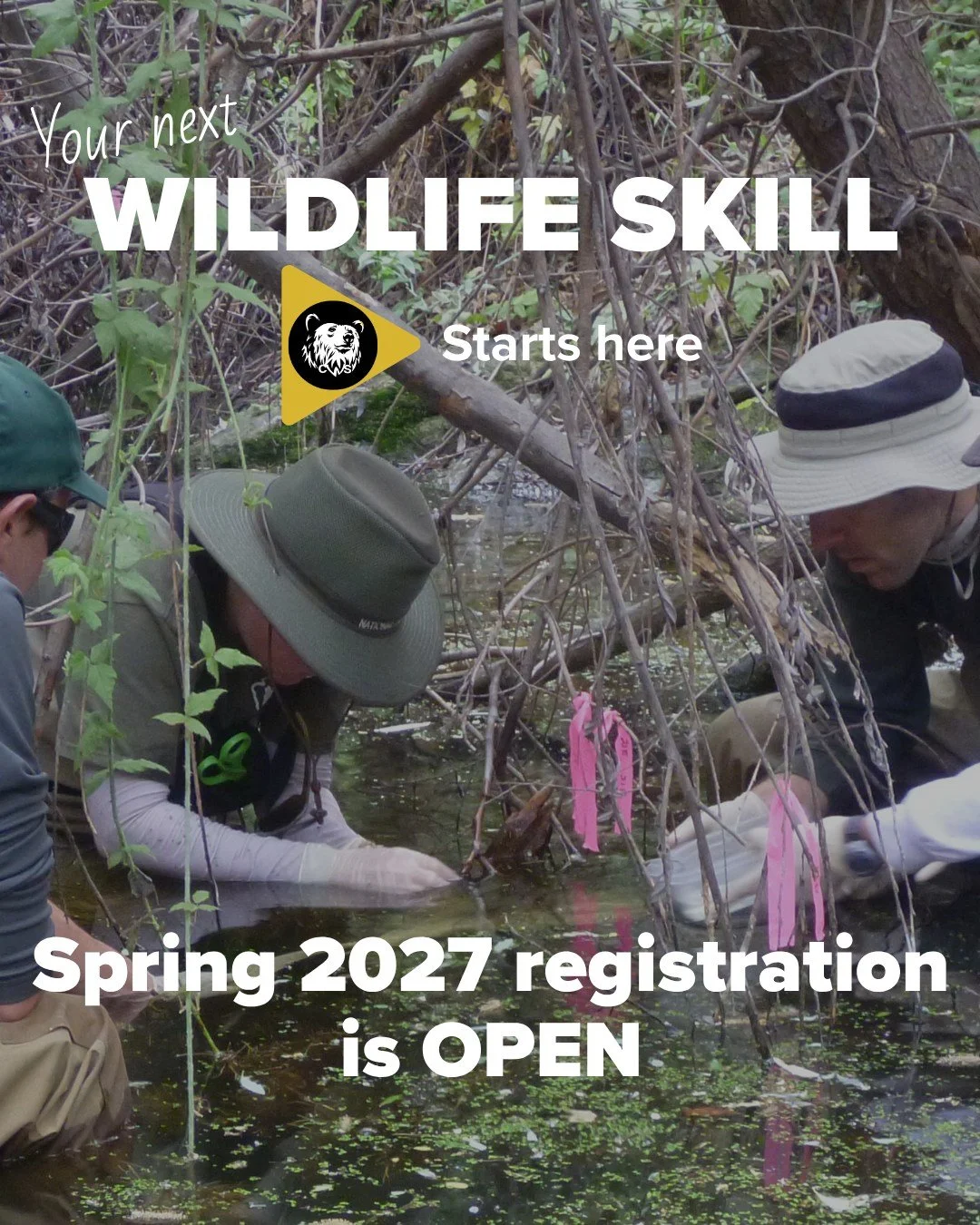 Spring 2027 registration is open at the Center for Wildlife Studies.

Want to feel more confident working with ecological data, designing research, or putting conservation ideas into practice? Explore our spring courses for students, wildlife biologi
