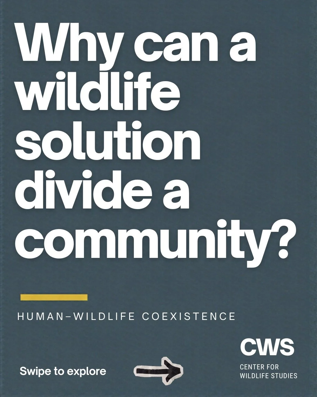 Who gets a say in wildlife conservation?

People can experience different risks, costs, and benefits from living alongside wildlife. Understanding their perspectives, and who has the power to make decisions, helps us examine a conflict more fully.

E