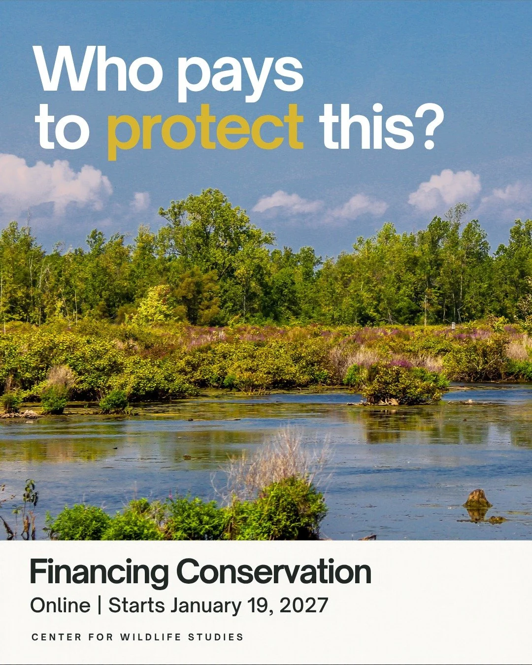 Behind a protected habitat are some practical questions.

Who pays for the work? How is that money managed? What happens when the initial funding runs out?

Conservation finance explores these questions, including how funding and financial incentives