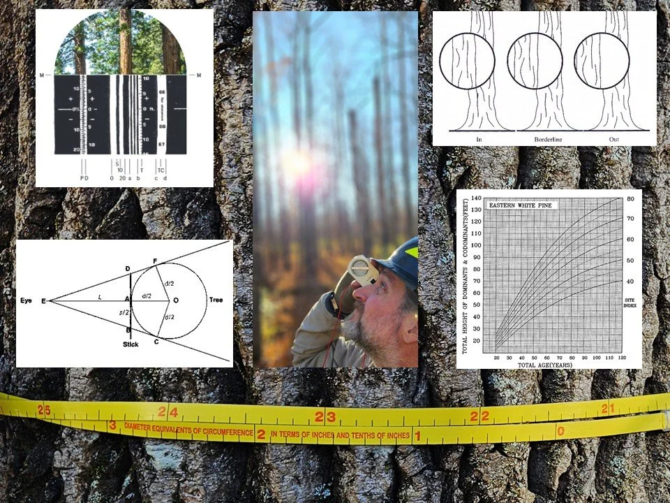 Forest and Habitat_Course Image.jpg