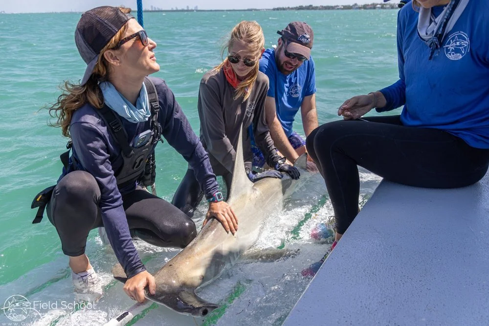 Group of people around a hammerhead shark next to a boat