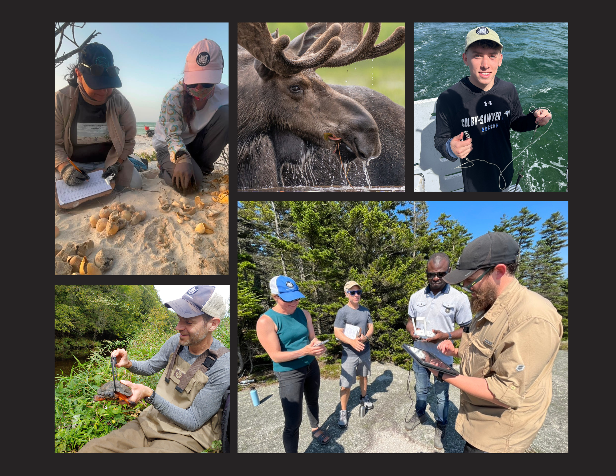 Foundations of Wildlife Conservation and Management