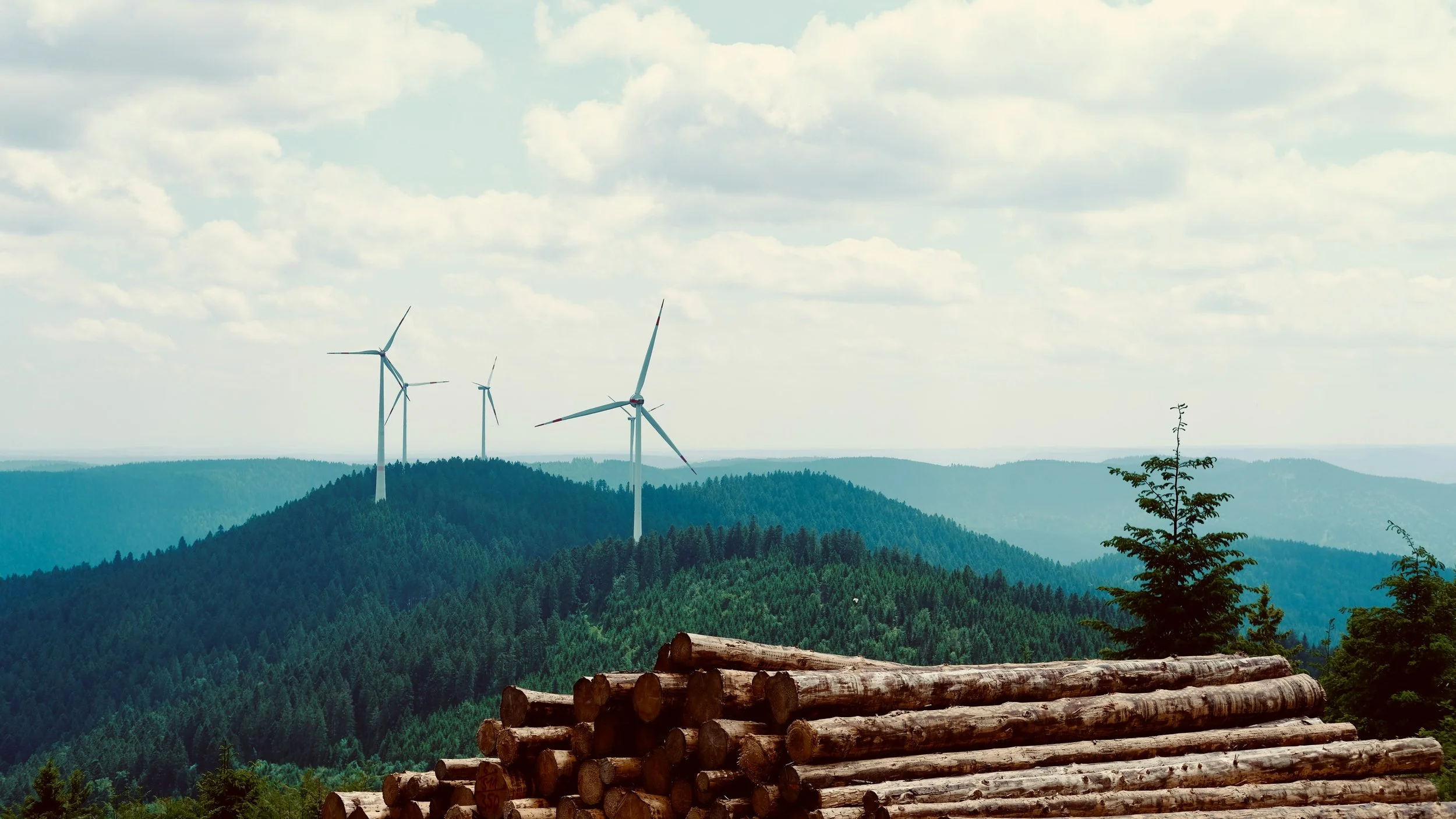 Environmental Justice in Conservation: From Principles to Practice