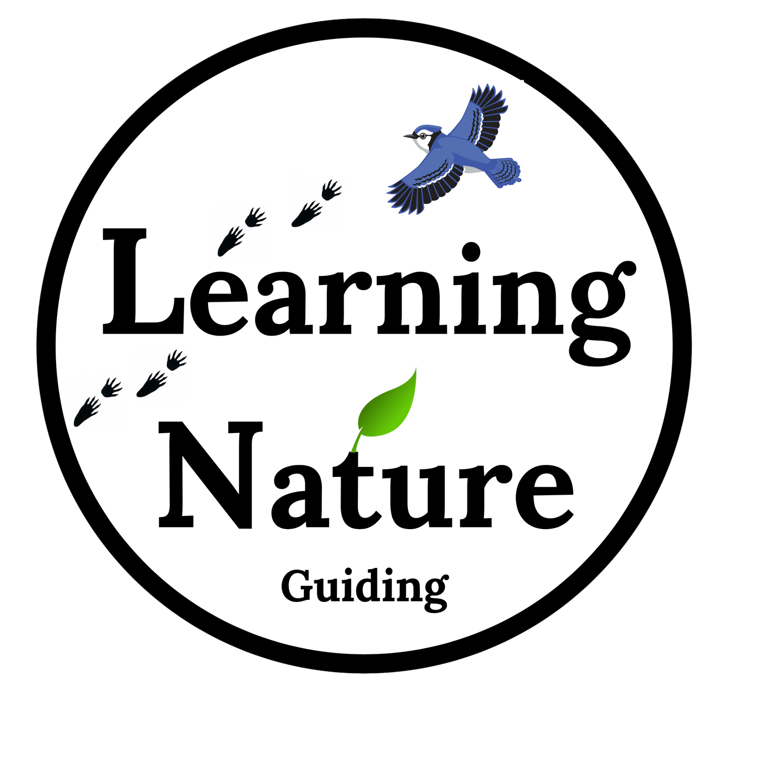 Learning Nature