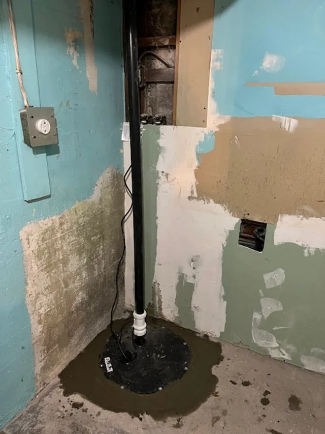 Interior - Sump Pit + Pump.jpg
