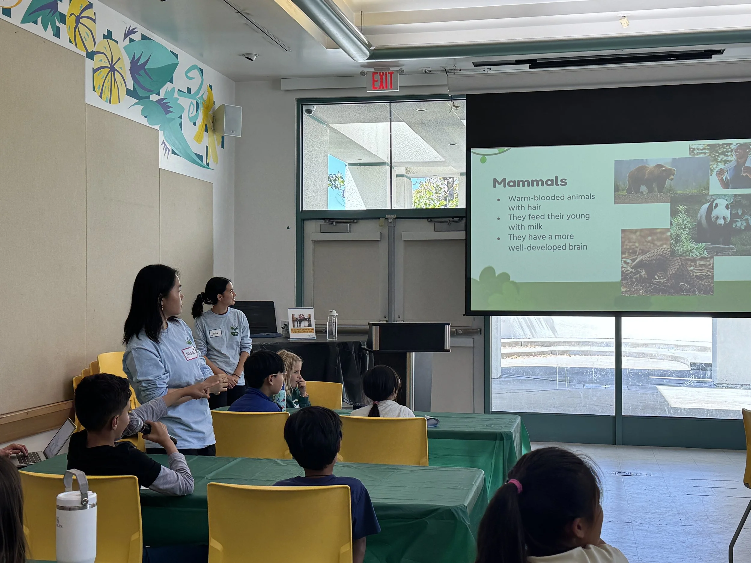 Zoology Workshop presentation. 4/18/26