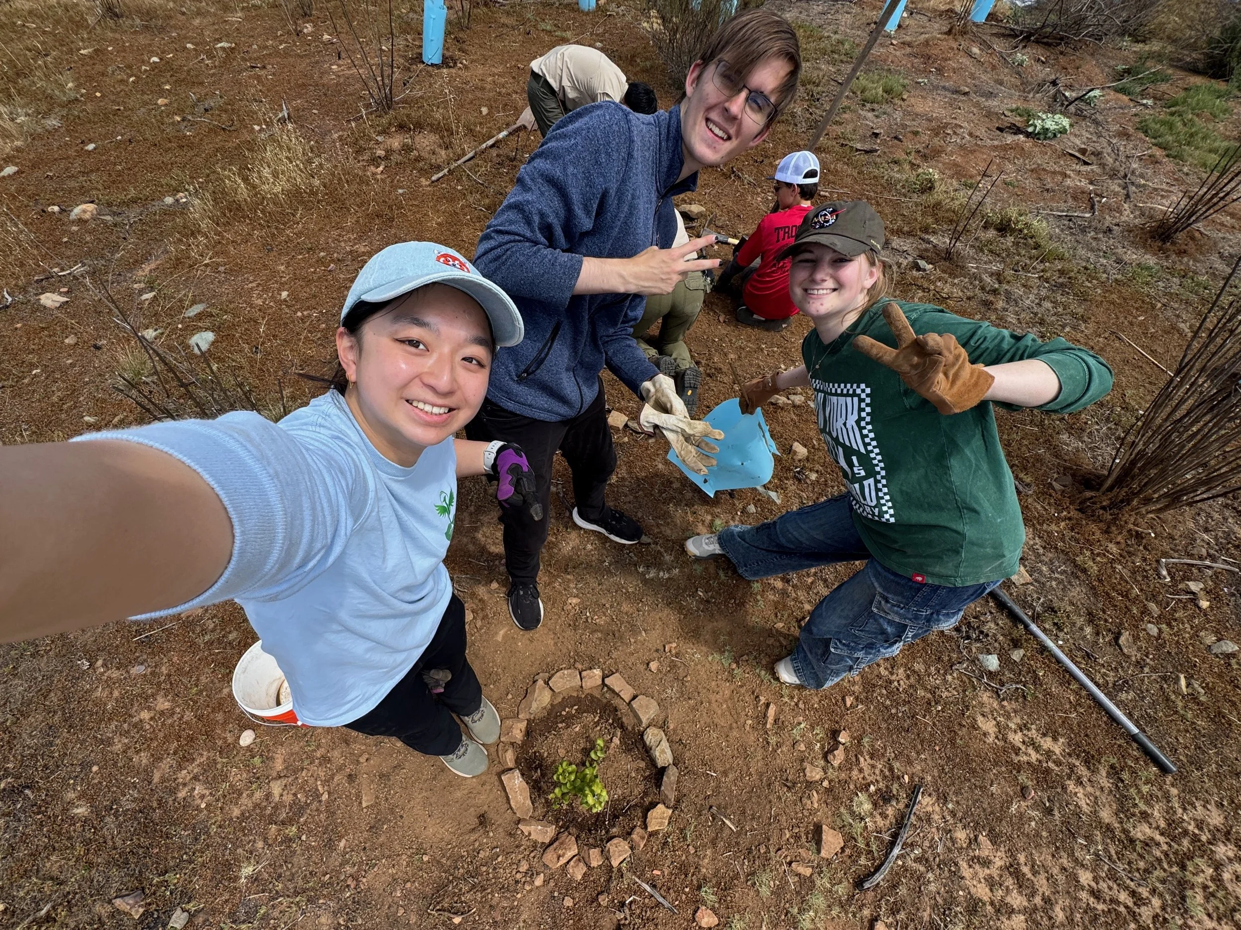 So Long, Sea Lavender project. 4/26/26