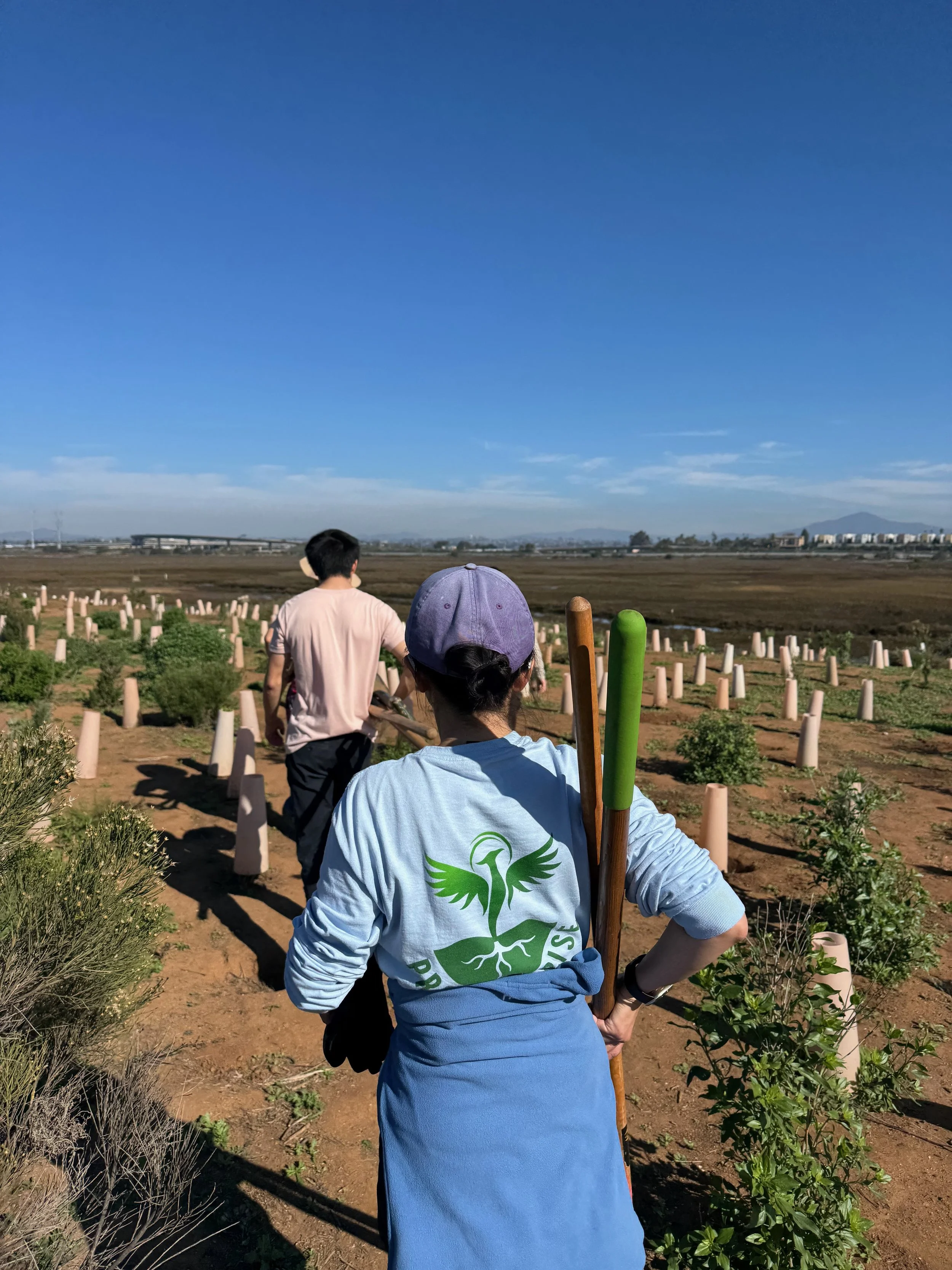 Volunteers carrying shovels to plant native species at Living Coast Discovery Center. 12/21/25