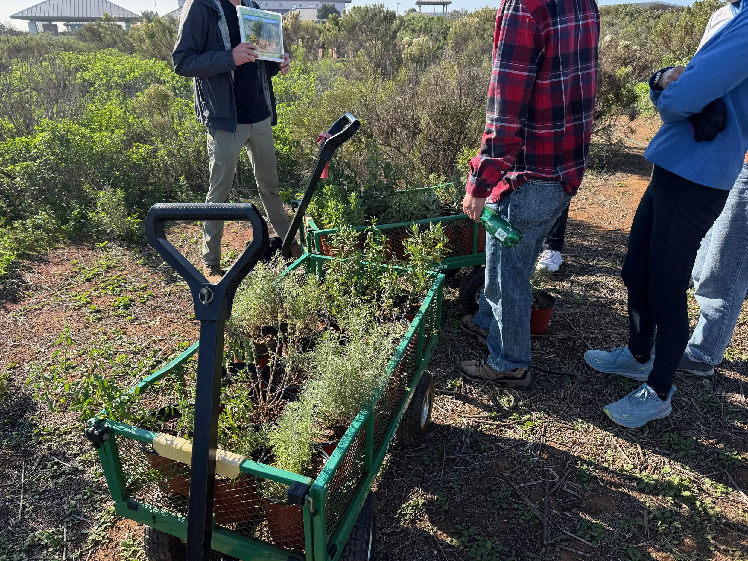 Carts of native species at Living Coast Discovery Center. 12/21/25