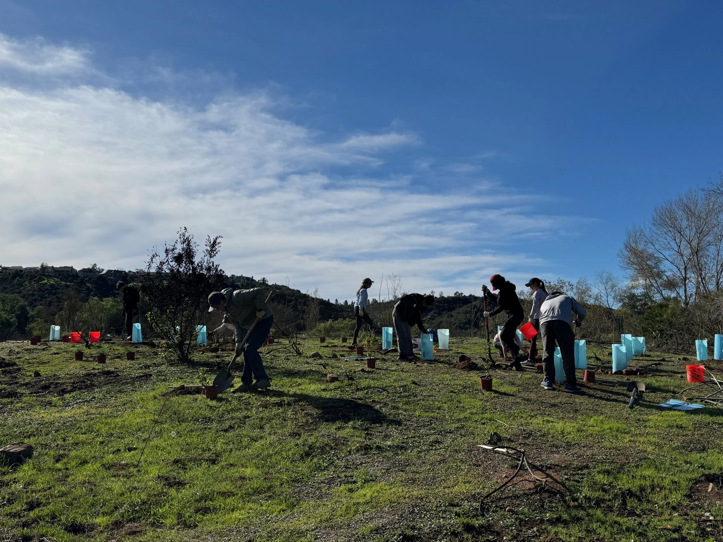 ARISE volunteers planting native species at Los Peñasquitos Canyon Preserve. 12/28/25