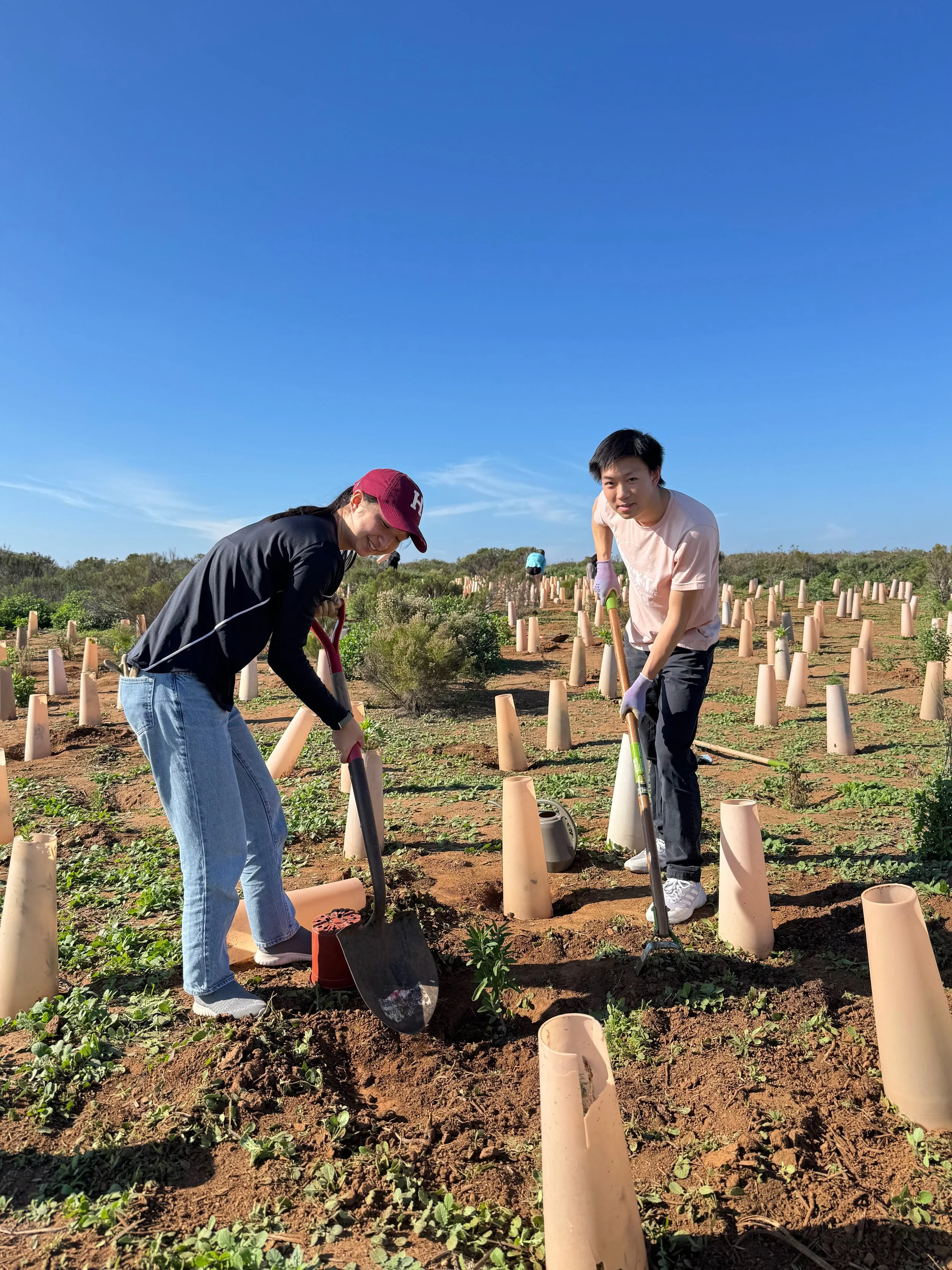 ARISE volunteers installing native species at Living Coast Discovery Center. 12/21/25